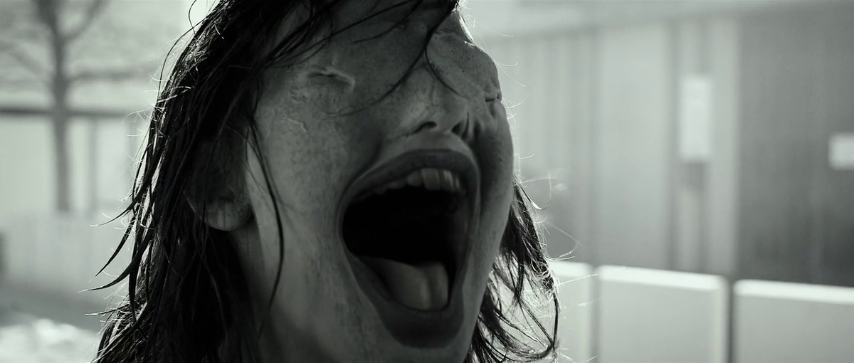 Взято из открытых источников.