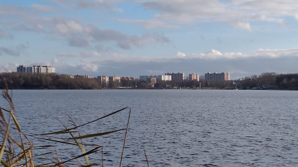 Вид на городской парк и город Солнечногорск