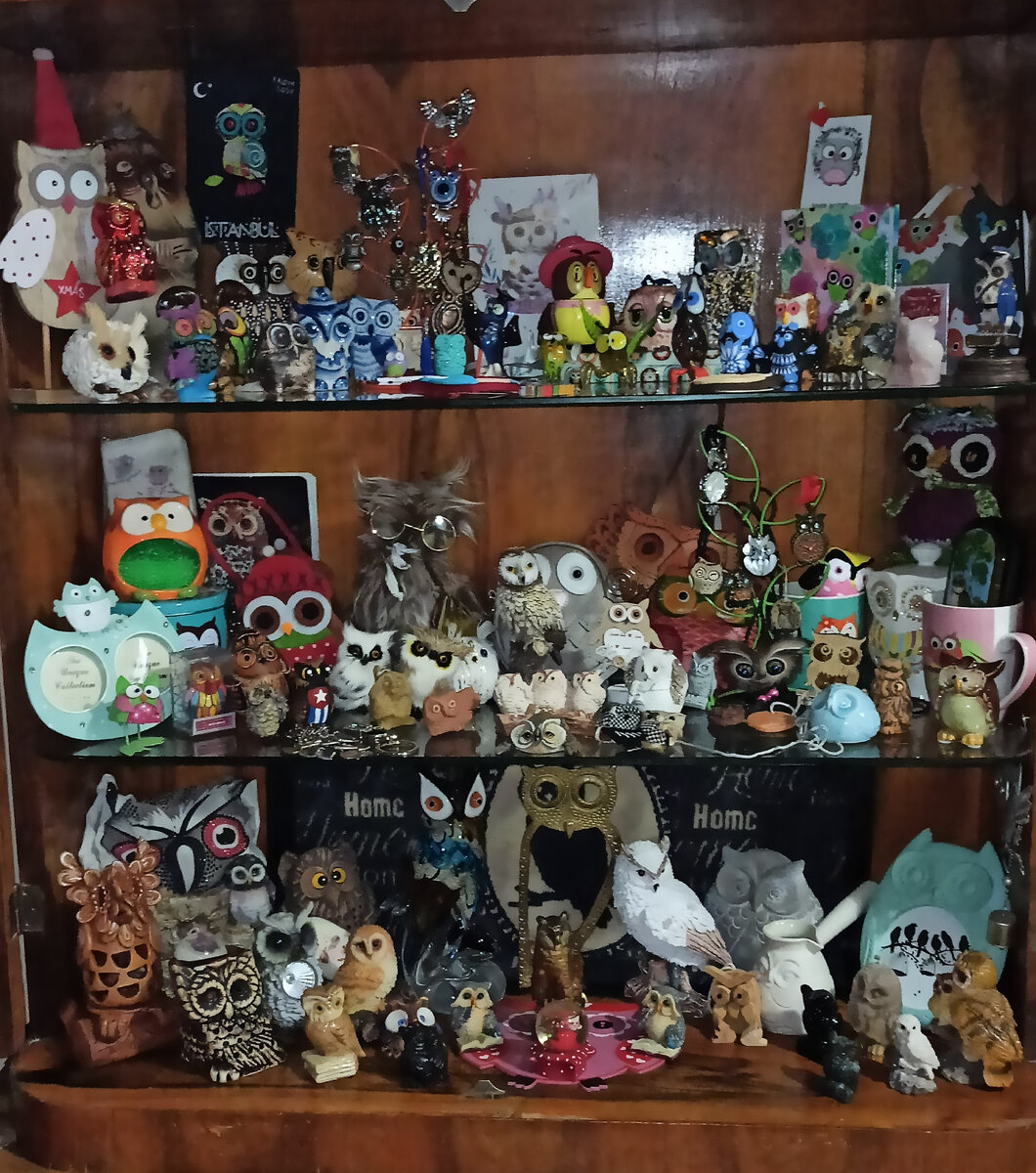 Коллекция сов в новом доме. Вот и старой горке из Мукачево нашлось применение...