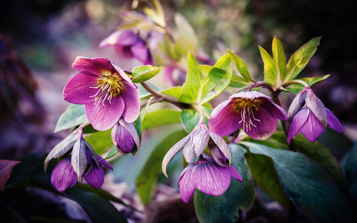 КартинКи из интернета