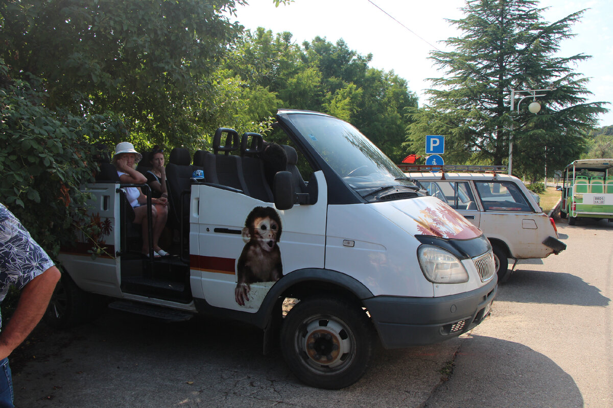 Специальная машина для посетителей питомника.