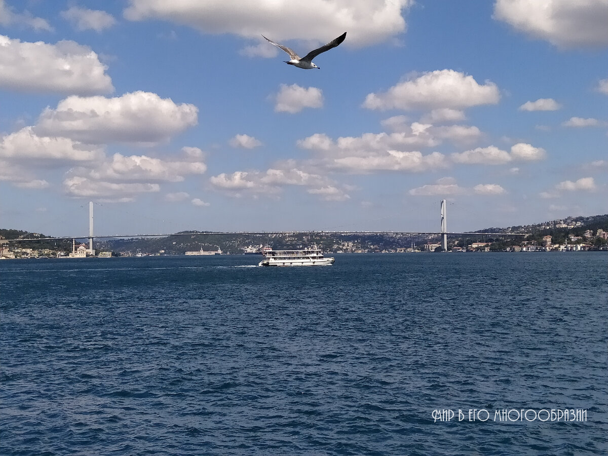 Многострадальный Босфор