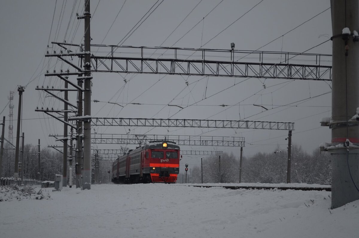 Станция Торфопродукт на фоне зимнего леса, 12.12.2021 | Железнодорожье и  его окрестности | Дзен