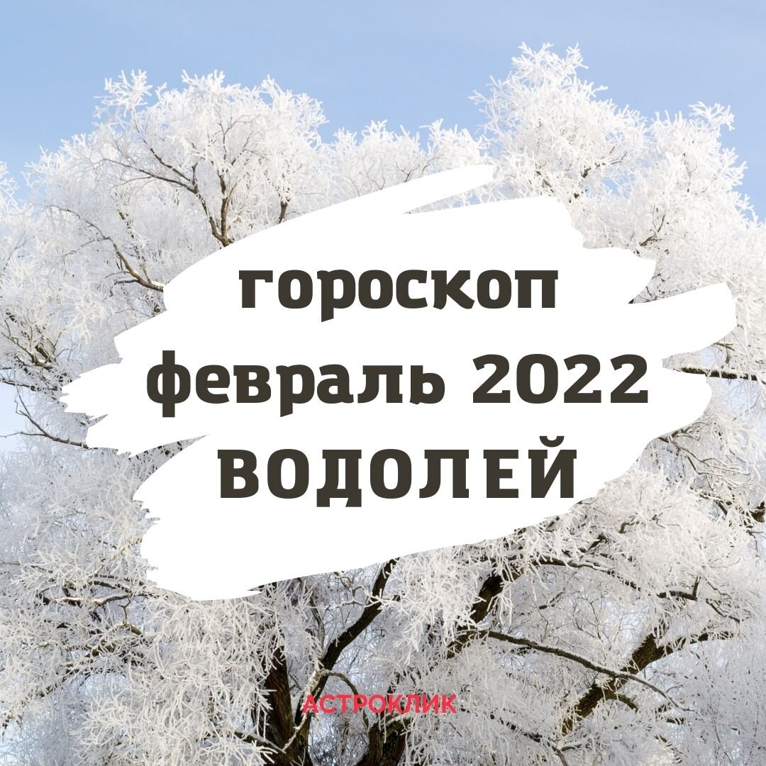 Водолей. Очарование тайны в феврале 2022 года | Астроклик | Дзен