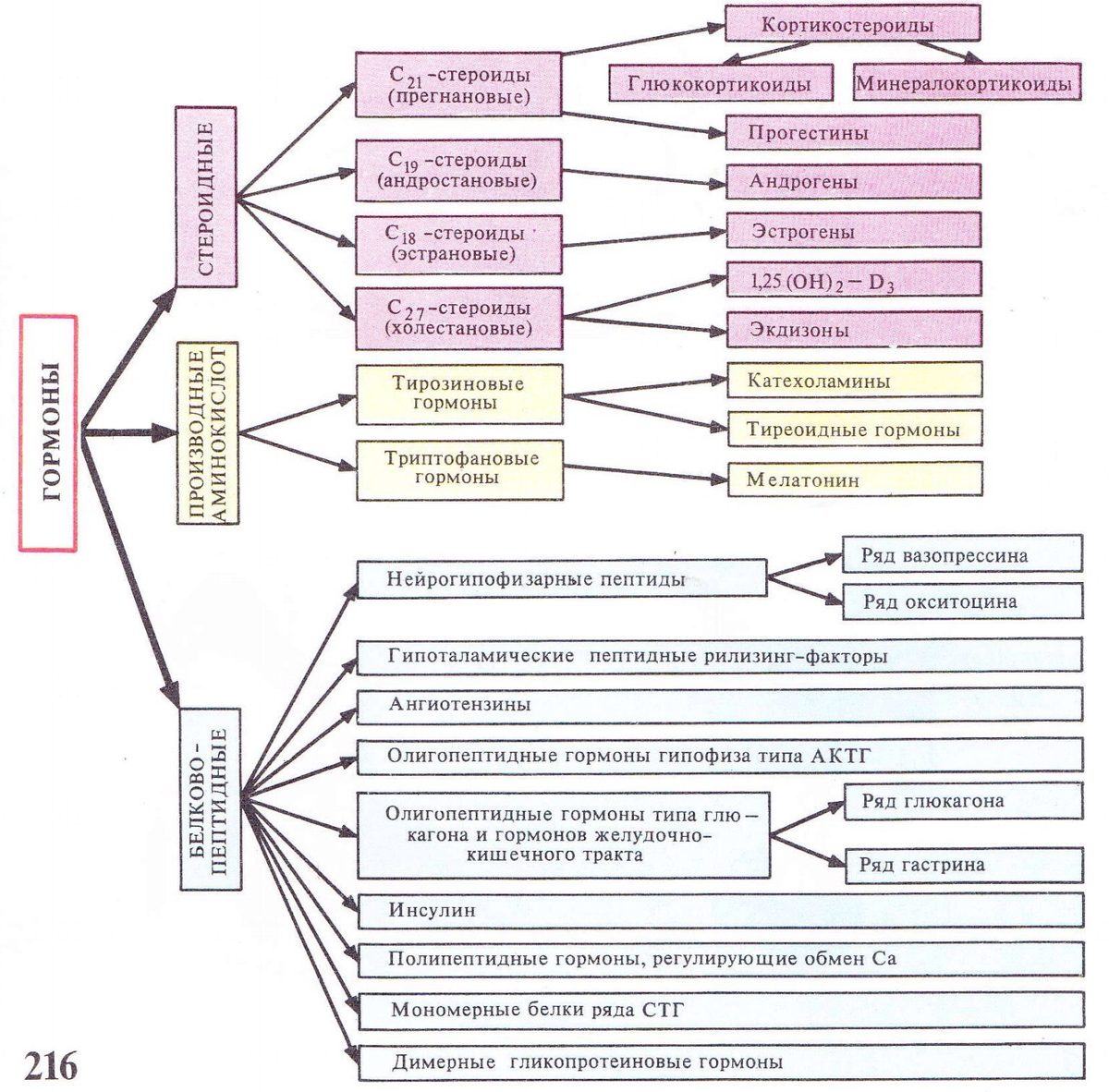 Виды гормонов схема