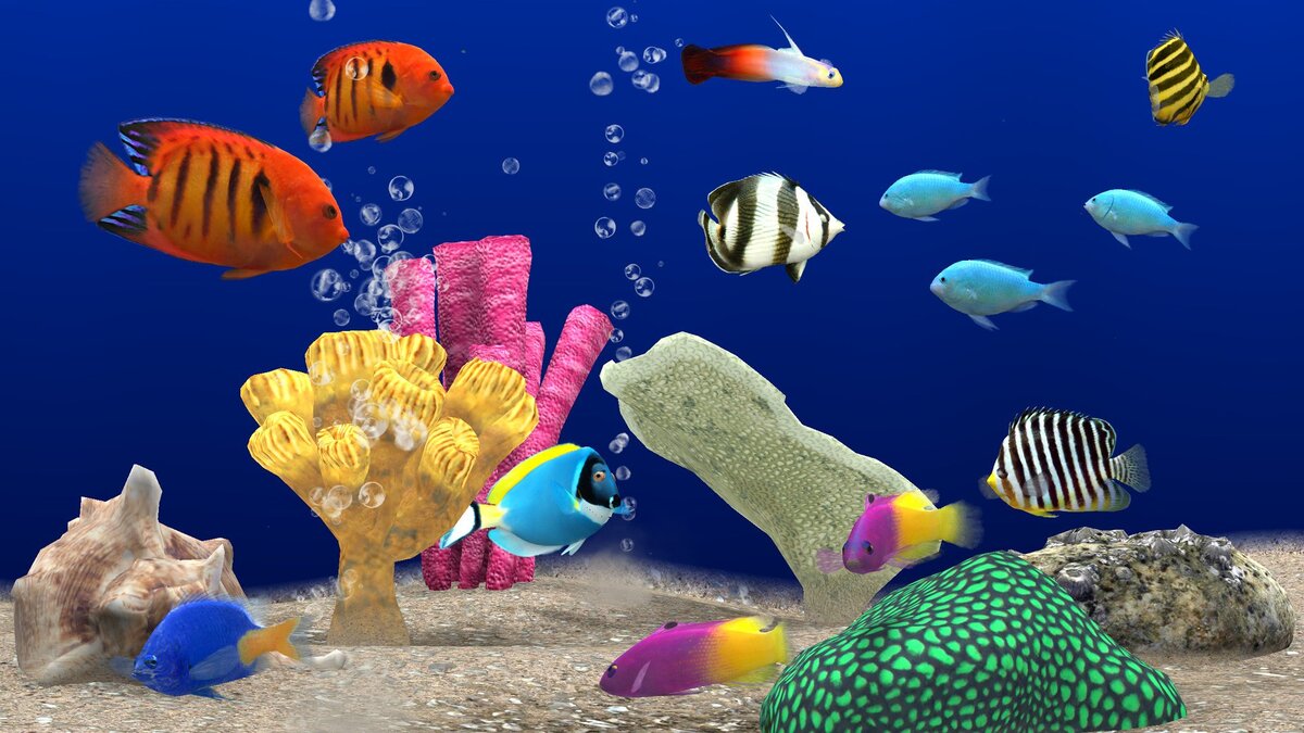 Какой аквариум лучше, пресноводный или морской