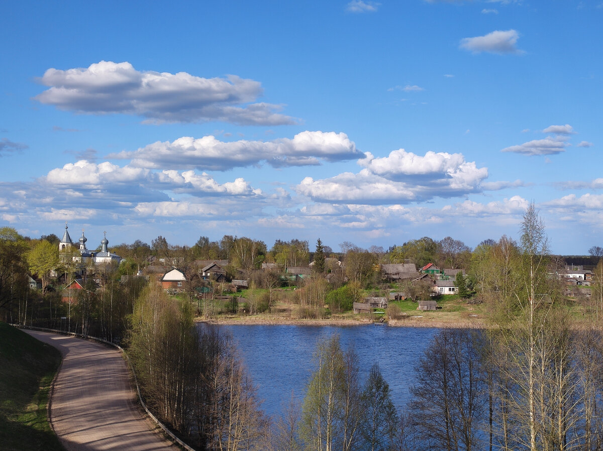 Городище Велье – древнее славянское поселение | Походы, путешествия,  прогулки | Дзен