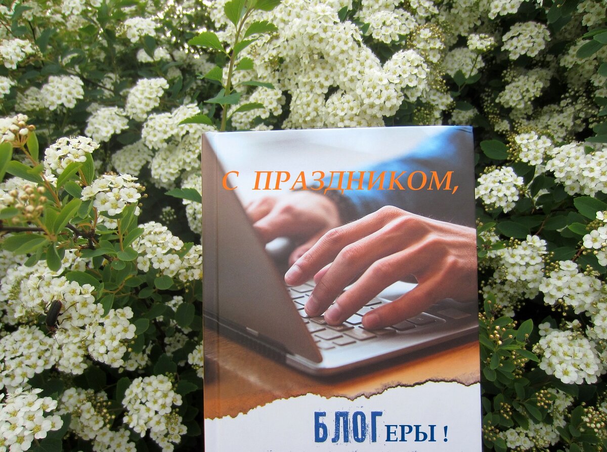 обложка одной из книг, речь о которых пойдёт ниже