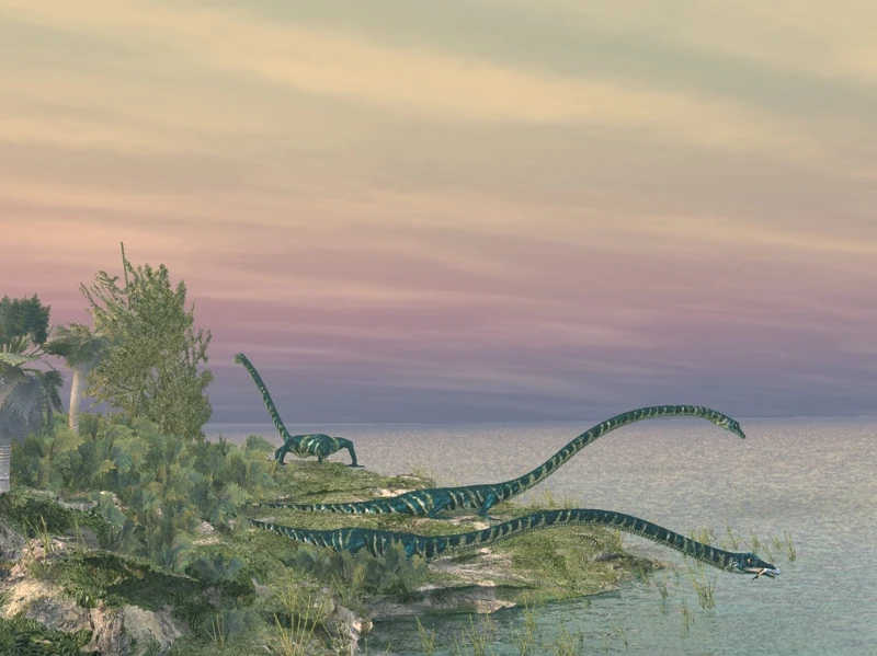 Удивительный танистрофей