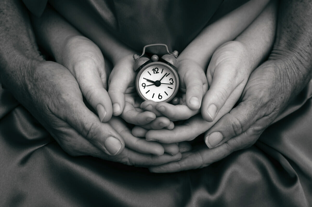 ...этапы жизни...