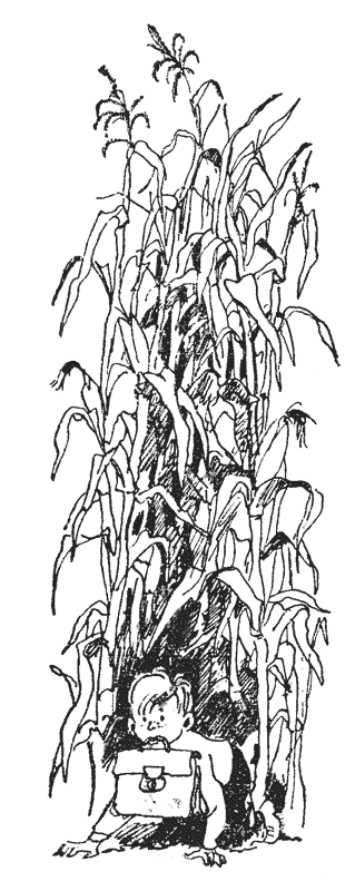 Иллюстрация Германа Мазурина. Фото взято из открытых источников в сети Интернет.