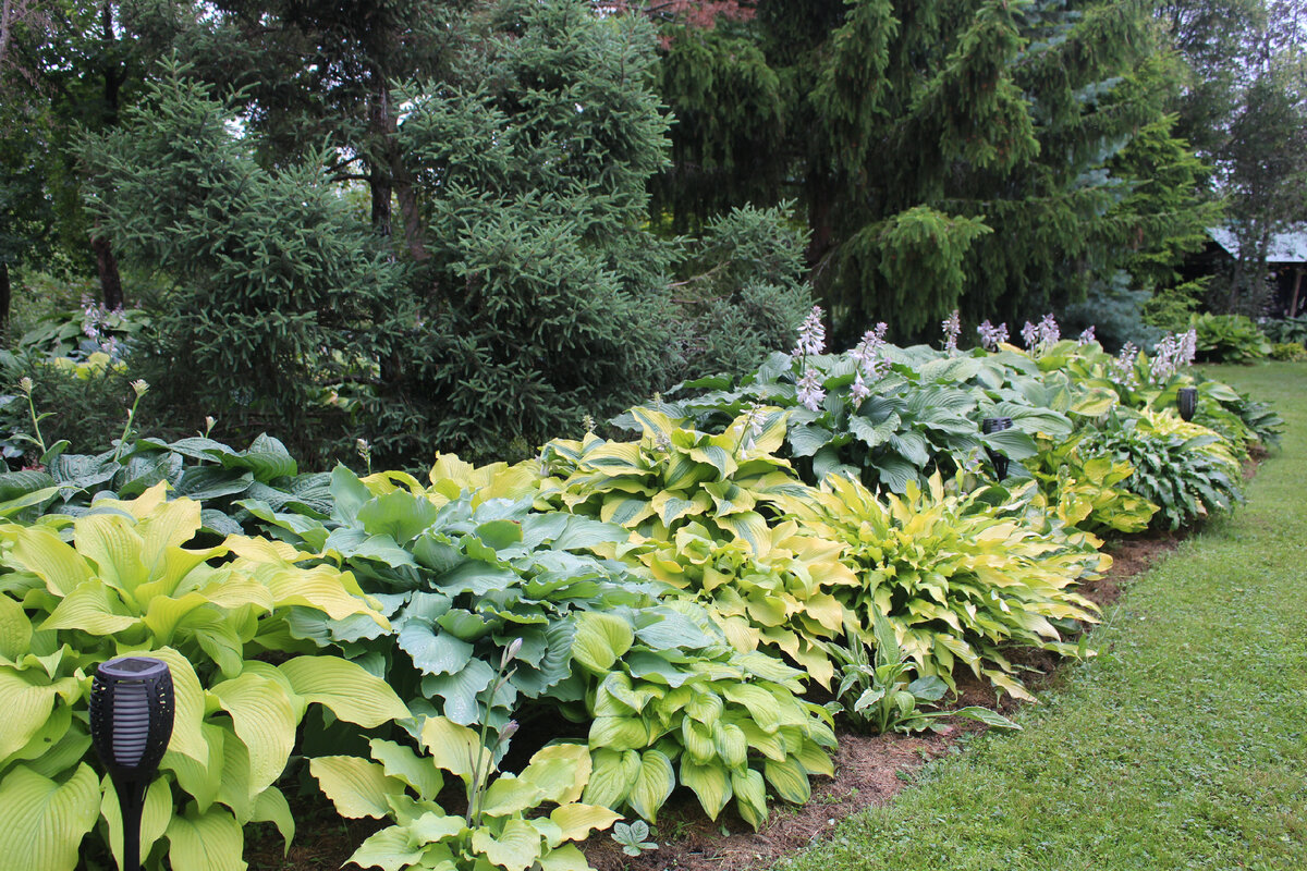 Сад супругов Марушиных 