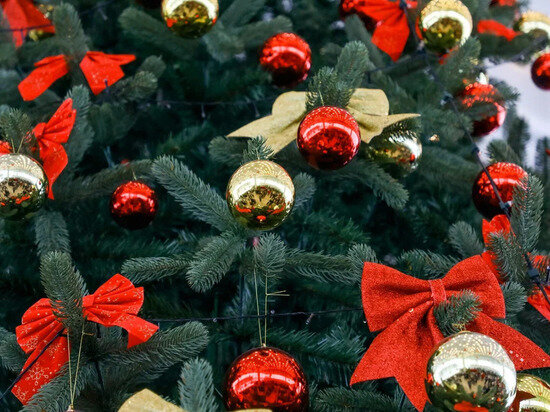     © Фото: ИД «Волгоградская правда» / Сергей Каширский / архив.