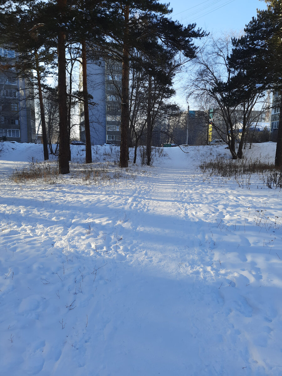 тропа в магазин