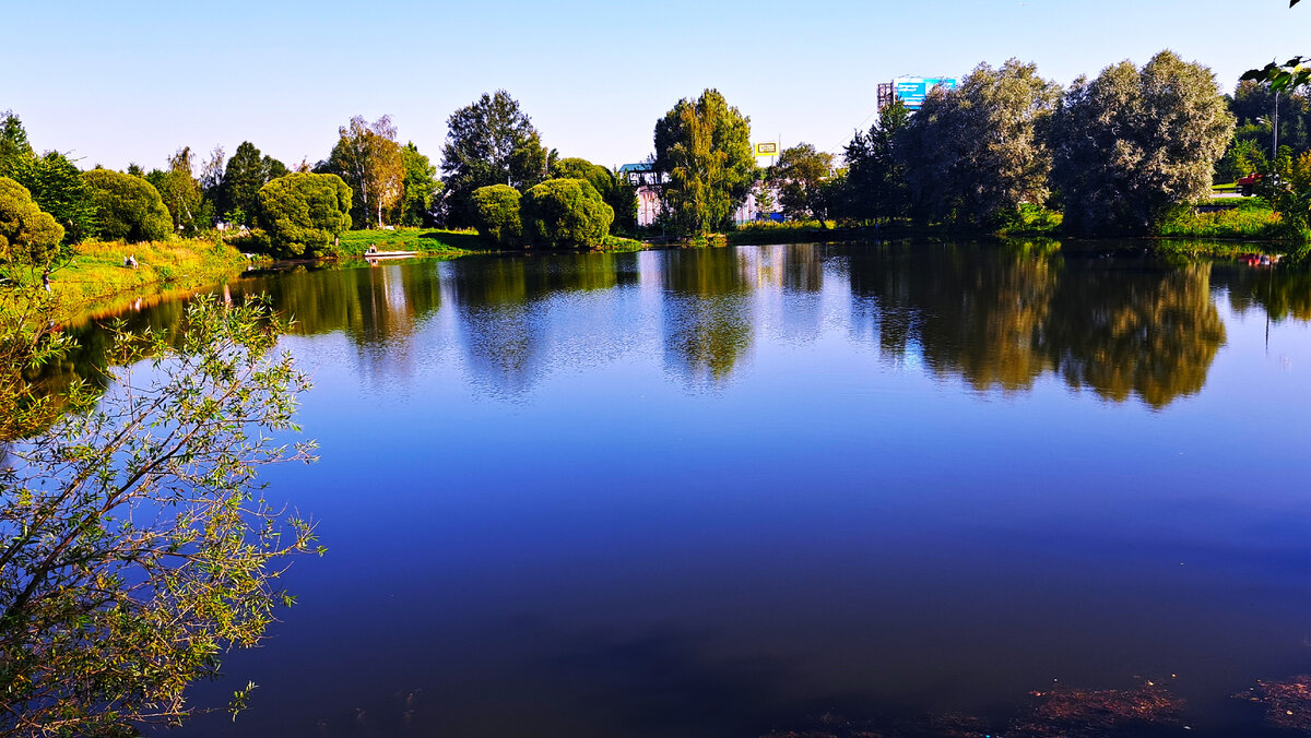 Виноградовские пруды. Фото автора канала