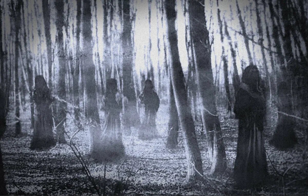 Темный лес с призраками. Призрак девушки в лесу. Приведение в лесу. Темный лес с привидениями. Фантом леса.