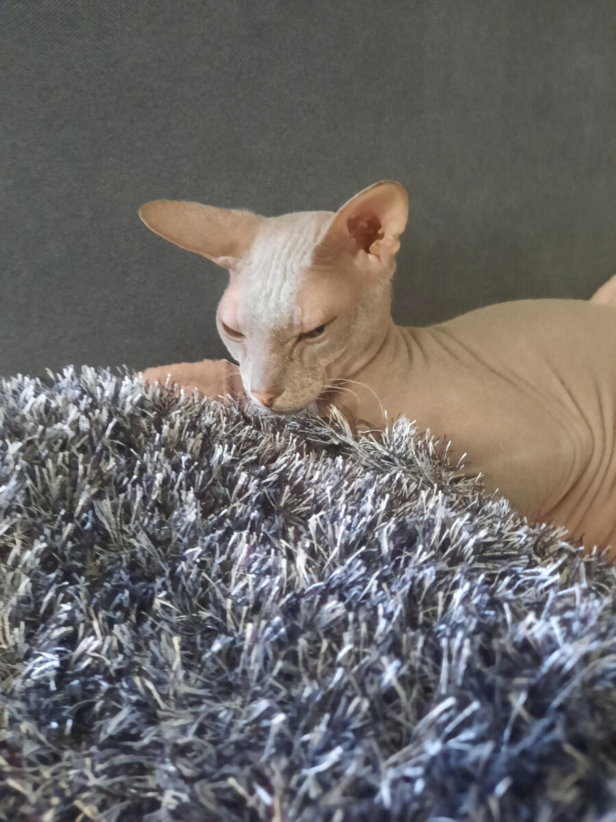 Пикси уже не нравится "травка" 🙄