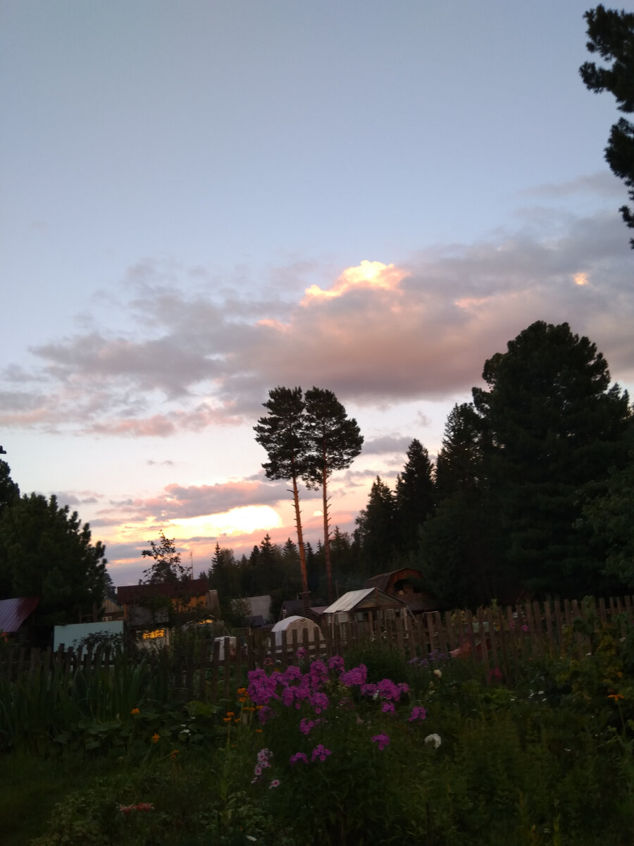 Фото автора. Один из дачных вечеров