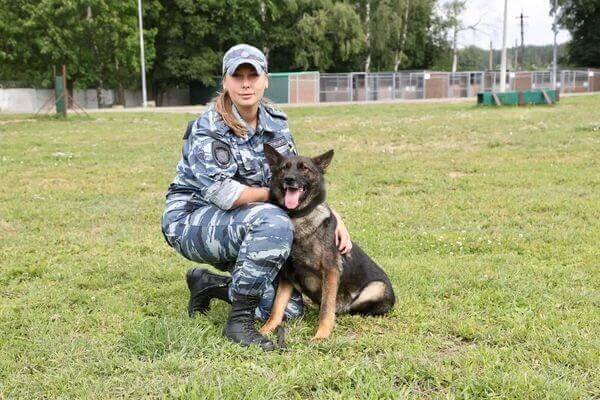    Старший прапорщик полиции Павлова Анастасия Георгиевна, младший инспектор-кинолог    
ЦКС ГУ МВД России по Самарской области и немецкая овчарка Экселигмос Ена