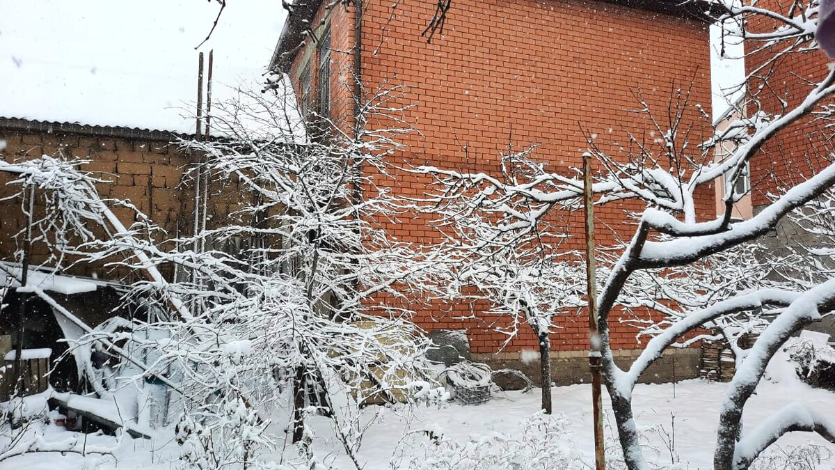 В зимнее время огородик выглядит волшебно 😍