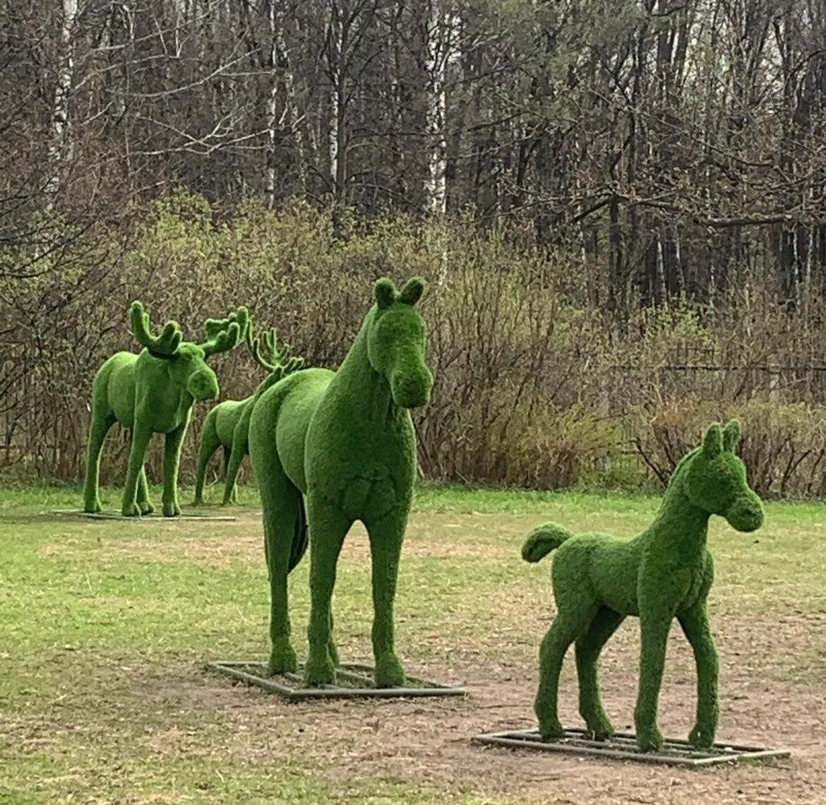 Топиарий в Бирюлевском дендропарке © "Покажу Москву"