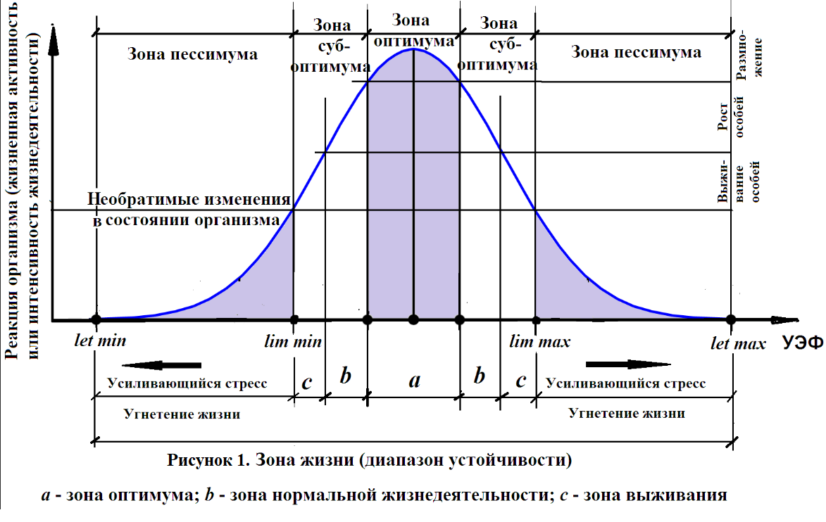 Фазовый спектр колоколообразного импульсного сигнала. Алколотическая кривая. Экологическая кривая. Влияние температурных факторов на жизнедеятельность организмов.