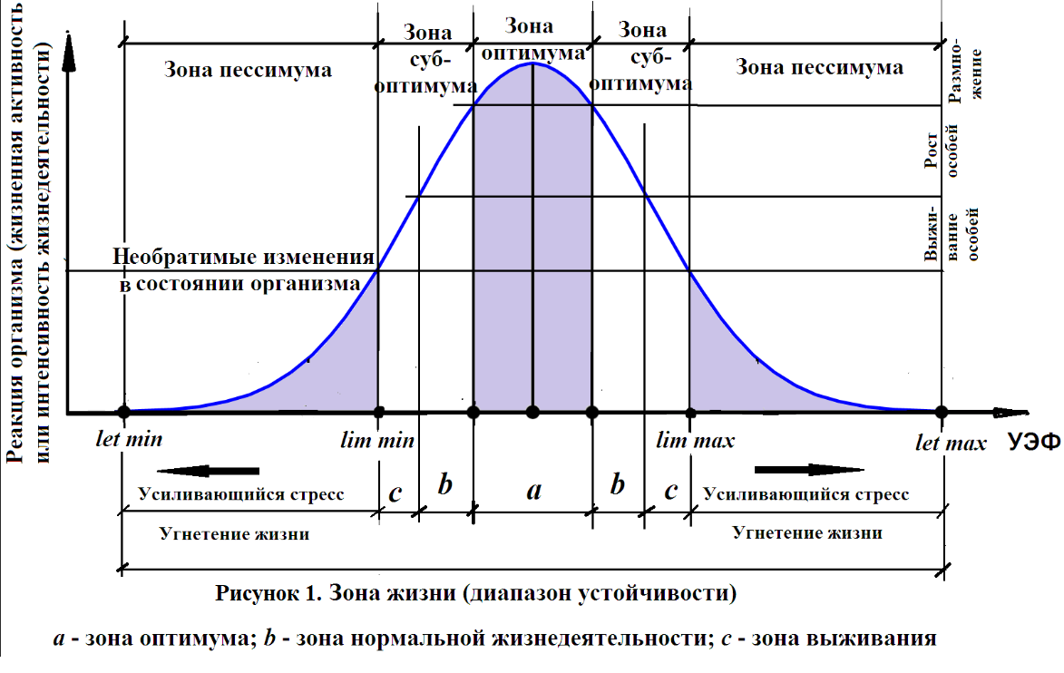 Временной фактор это. Фазовый спектр колоколообразного импульсного сигнала. Алколотическая кривая. Экологическая кривая. Влияние температурных факторов на жизнедеятельность организмов