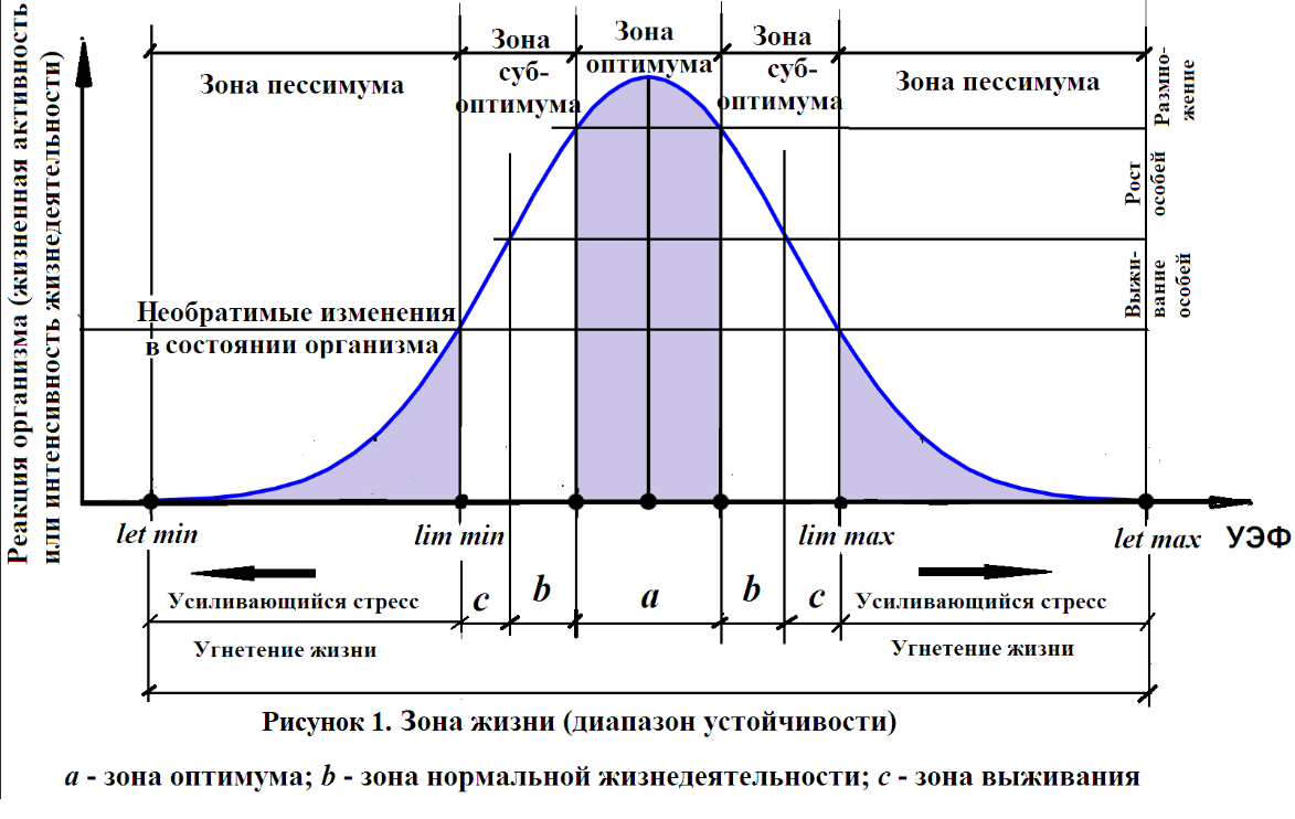 Глубокие необратимые изменения. Фазовый спектр колоколообразного импульсного сигнала. Алколотическая кривая. Экологическая кривая. Влияние температурных факторов на жизнедеятельность организмов.