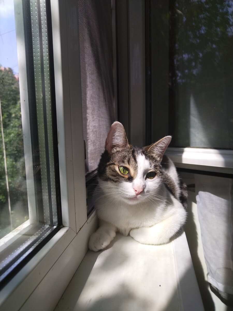 Фото автора 