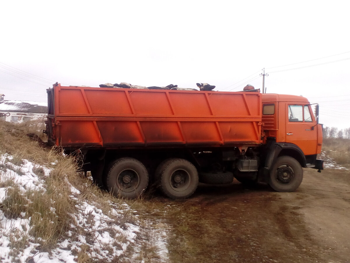 Фото из интернета