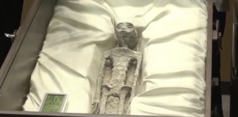 Автор фотографий - YouTube канал - Grey Amongst Humans