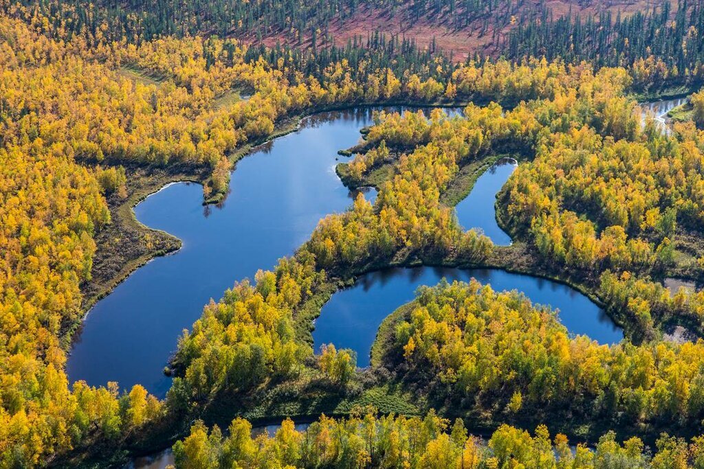 фото из интернет-источника