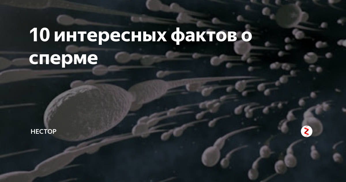 Влияние антиоксидантов на мужское бесплодие и на качество спермы