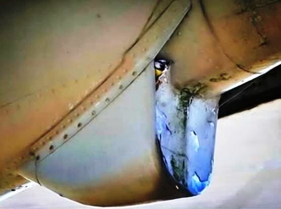 птица  выглядывает из гнезда, свитого в самолете военной авиабазы