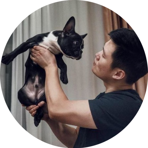 Мы купили Моцарта в октябре прошлого года. Я всегда хотел себе бульдога из-за их кроличьих ушей. К тому же, они считаются очень дружелюбными собаками, ладят с детьми и любят внимание. Купил его за 70 тысяч тенге, без документов.