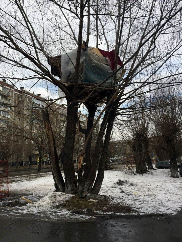 Избушка на курьих ножках – она существует! 
