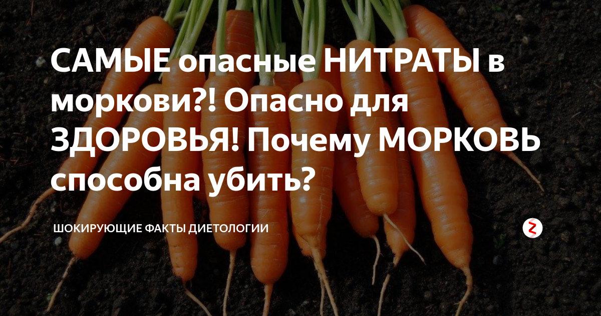 Ем морковь на ночь. Нитраты в моркови. В моркови нитраты концентрируются главным образом:. Стержень моркови. Как определить нитраты в моркови.