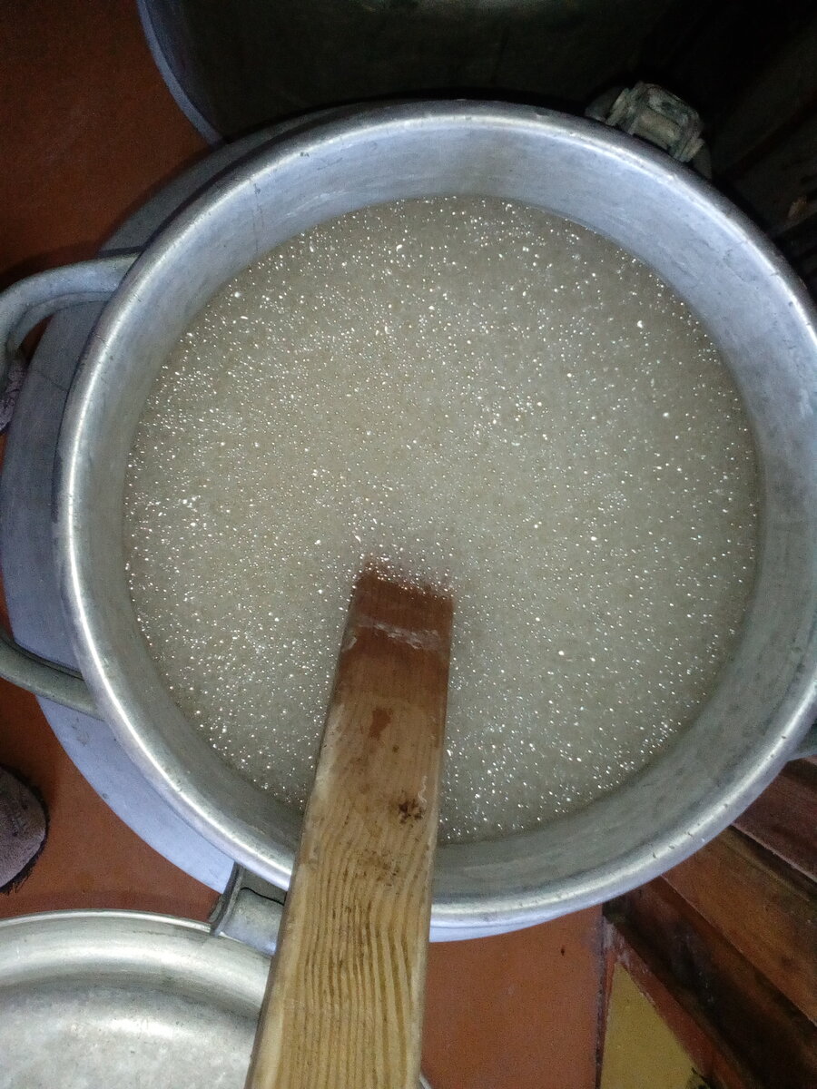 Брага на березовом соке