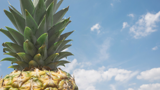 Фото Pineapple Supply Co. on Unsplash 