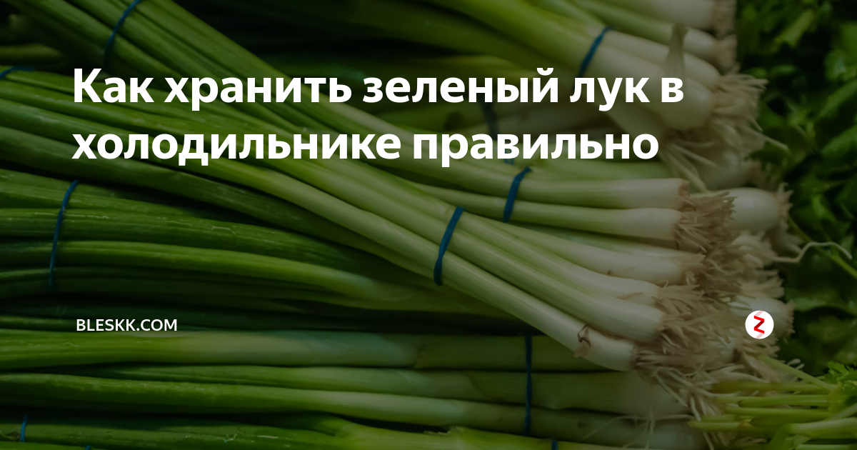 Лук в холодильнике. Хранить зеленый лук. Как сохранить зелёный лук в холодильнике свежим. Зелёный лук хранение. Хранение зеленого лука в холодильнике.