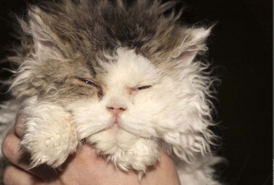 Источник: fishki.net