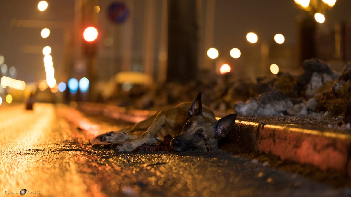 кинокадр из социального ролика "Право на жизнь". Малинуа Тигра из Грациано