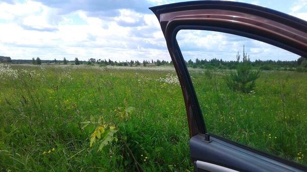 

Поле
