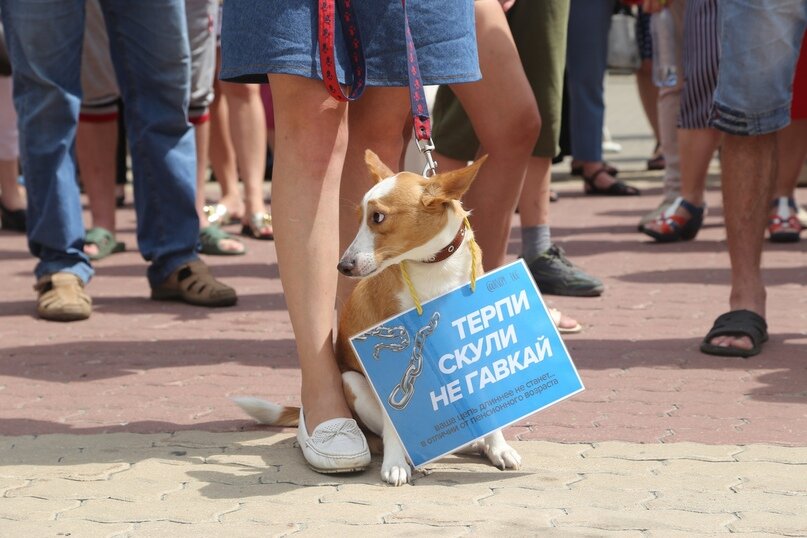 Создать карусель             Добавьте описание