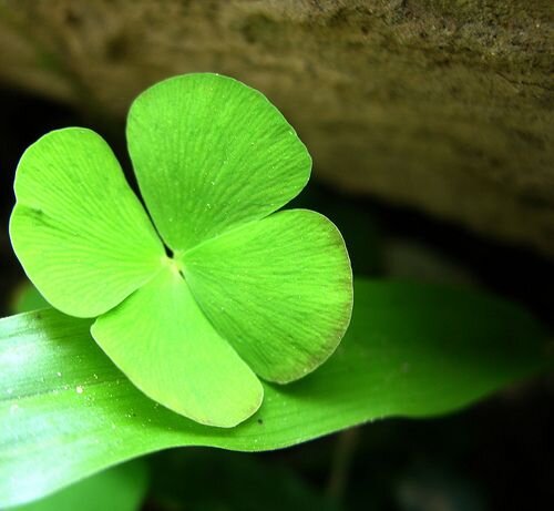 Парапсихологи говорят, что удача — это закономерность случайных событий, напрямую зависящих от психологии человека