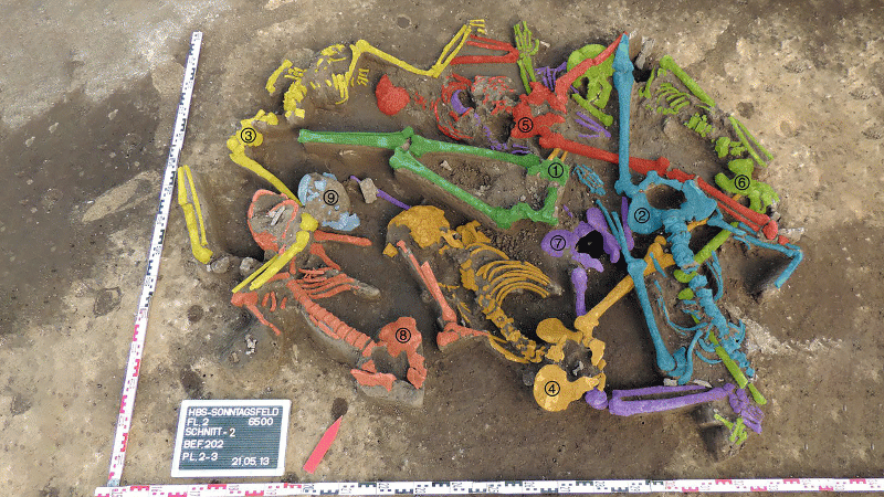 Christian Meyer, Corina Knipper, Nicole Nicklisch, Angelina Münster, Olaf Kürbis, Veit Dresely, Harald Meller & Kurt W. Alt  Nature Communicationsvolume 9, Article number: 2472 (2018)