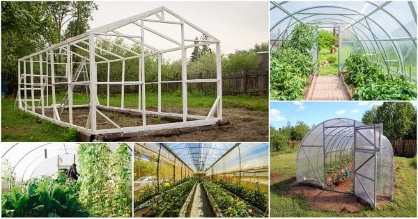 фото depositphotos.com 