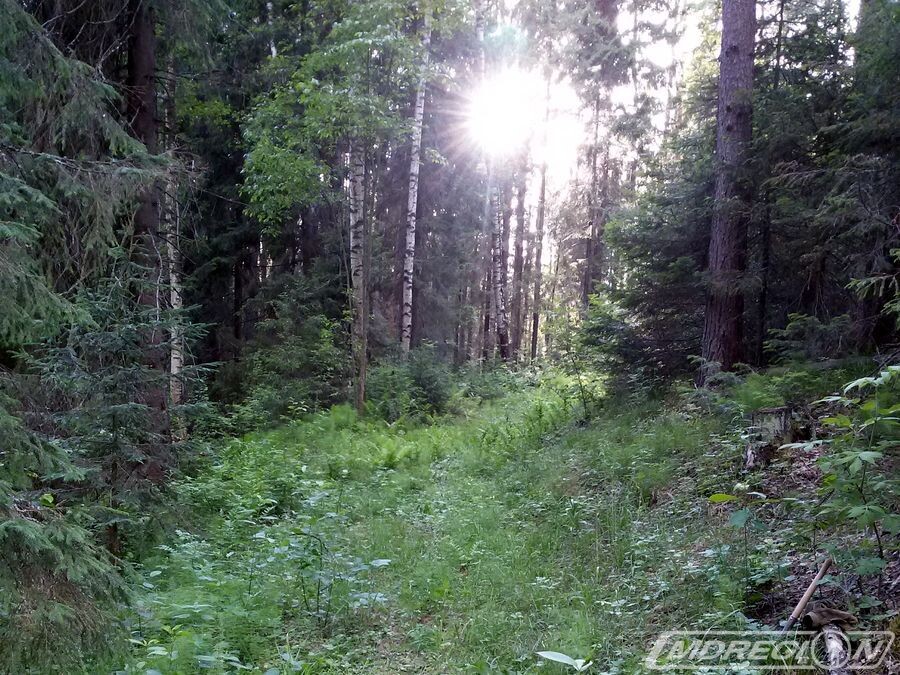 Фото mdregion.ru