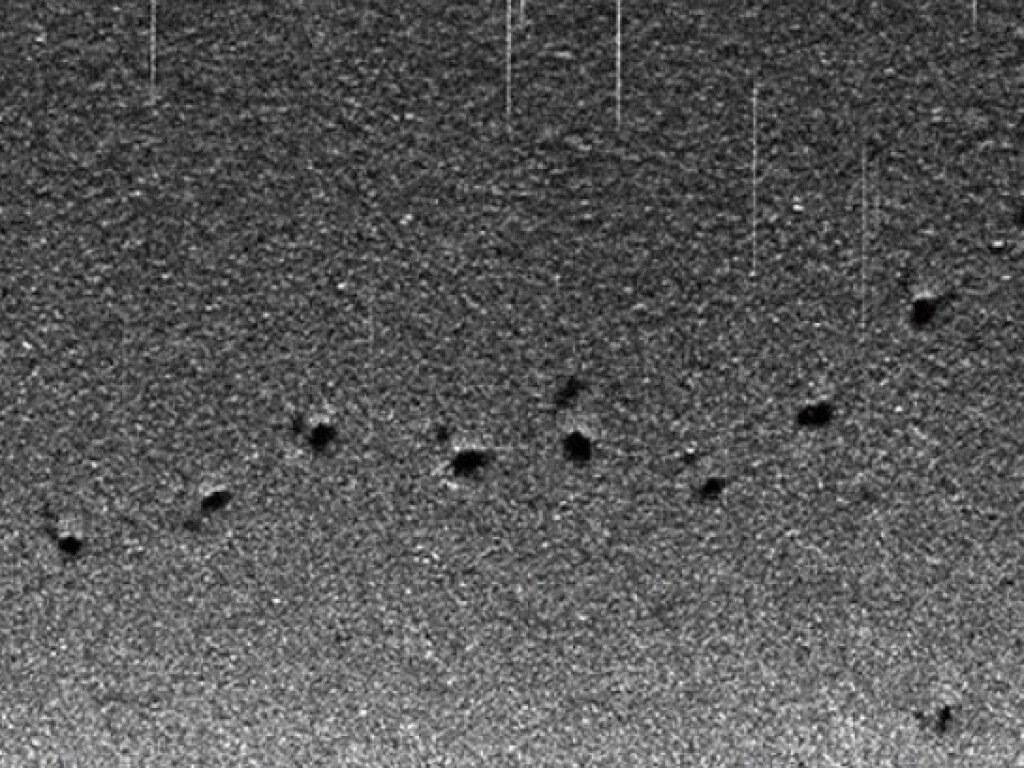 Неопознанные объекты, загадочные существа, тайны, история, необъяснимое,  мистика, факты, загадки истории, неопознанное, загадочные факты, исследования,монстры, неизвестное создание, неизвестный объект, 