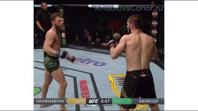 Хабиб уходит от ударов